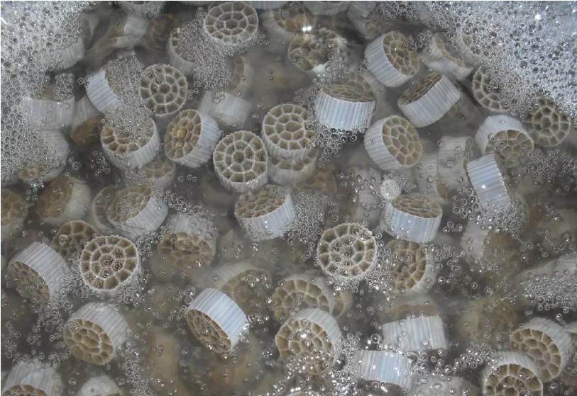 MBBR的工藝原理、及特點(diǎn)